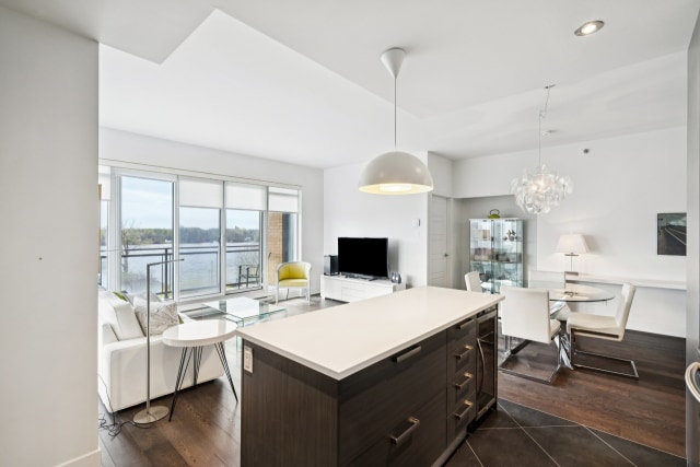 Photo 4 — 795, Ch. du Bord-du-Lac-Lakeshore, 507, Dorval, H9S0A8, Dorval