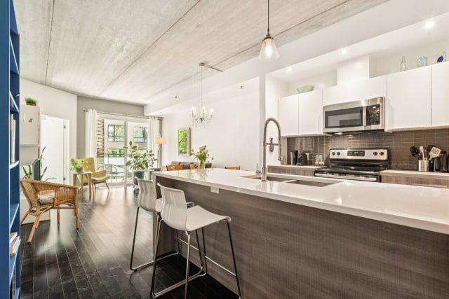 Photo 3 — 4725, Rue Messier, 204, Montréal (Le Plateau-Mont-Royal), H2H2J2, Montréal (Le Plateau-Mont-Royal)