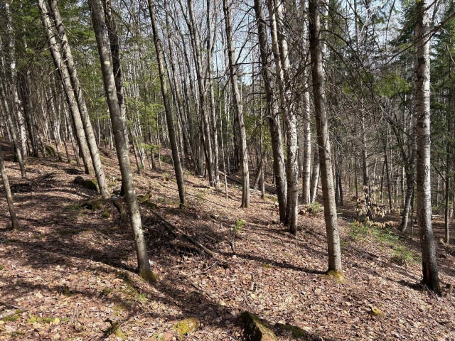 Terrain — Rg Ste-Agathe, Sainte-Béatrix, J0K1Y0, Sainte-Béatrix