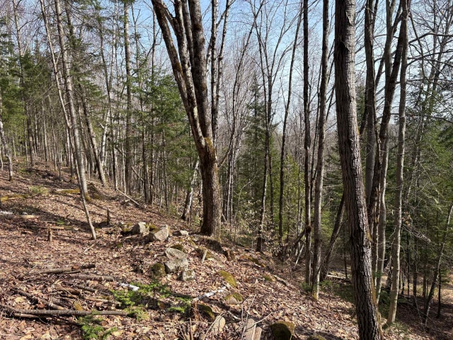 Terrain — Rg Ste-Agathe, Sainte-Béatrix, J0K1Y0, Sainte-Béatrix