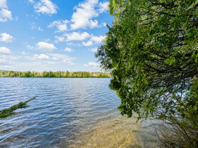 Photo 4 — Ch. du Lac-des-Trois-Milles E., Sainte-Cécile-de-Whitton, G0Y1J0, Sainte-Cécile-de-Whitton