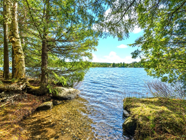 Photo 2 — 633, Ch. du Lac-des-Trois-Milles E., Sainte-Cécile-de-Whitton, G0Y1J0, Sainte-Cécile-de-Whitton