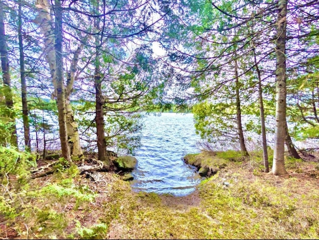 Photo 4 — 633, Ch. du Lac-des-Trois-Milles E., Sainte-Cécile-de-Whitton, G0Y1J0, Sainte-Cécile-de-Whitton