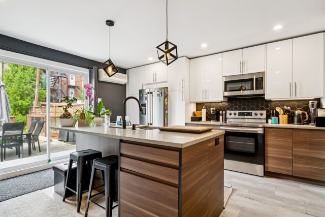 Photo 3 — 2163 - 2165, Rue De Biencourt, Montréal (Le Sud-Ouest), H4E1T9, Montréal (Le Sud-Ouest)