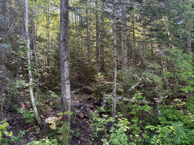 Terrain — Ch. du Lac-Corbeau, Saint-Damien, J0K2E0, Saint-Damien