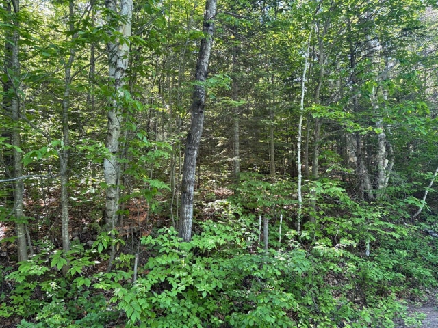 Terrain — Ch. du Lac-Corbeau, Saint-Damien, J0K2E0, Saint-Damien