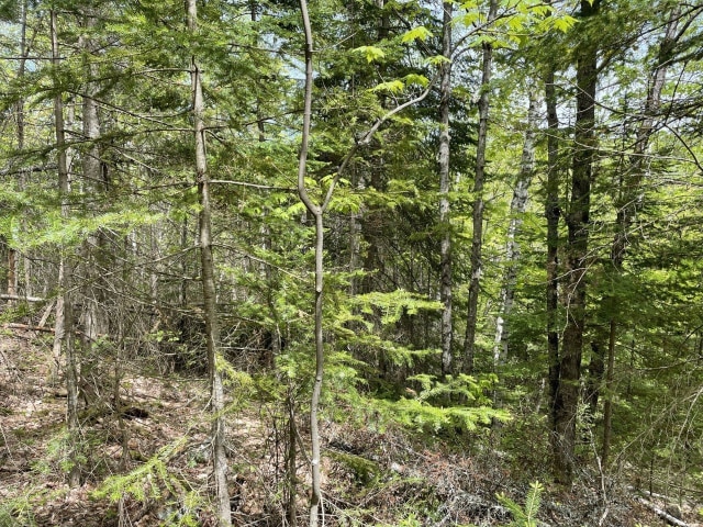 Terrain — Rg Ste-Agathe, Sainte-Béatrix, J0K1Y0, Sainte-Béatrix