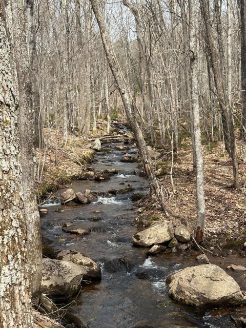 Photo 2 — Ch. Desrochers, Saint-Damien, J0K2E0, Saint-Damien