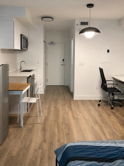 Photo 3 — 1200, Rue Crescent, 209, Montréal (Ville-Marie), H3G0G5, Montréal (Ville-Marie)
