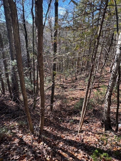 Terrain — Rue St-Marc, Rawdon, J0K1S0, Rawdon