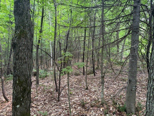 Terrain — Ch. du Lac-Migué, Saint-Damien, J0K2E0, Saint-Damien