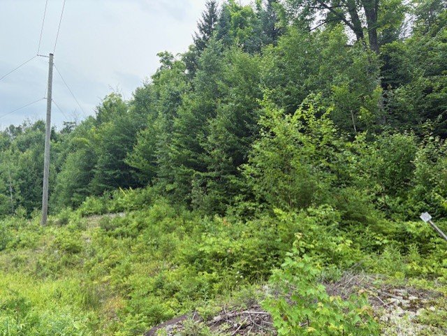 Terrain — Ch. du Lac-Migué, Saint-Damien, J0K2E0, Saint-Damien