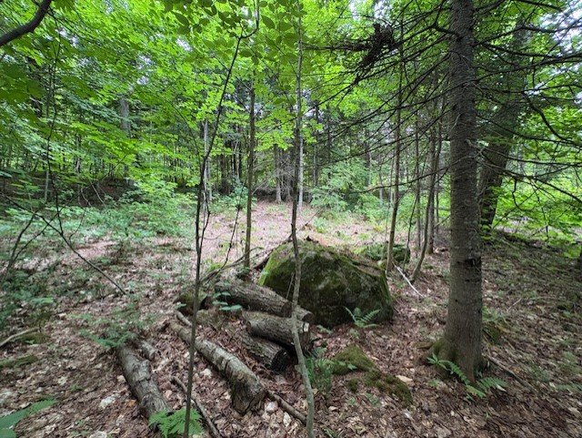 Terrain — Ch. du Lac-Migué, Saint-Damien, J0K2E0, Saint-Damien