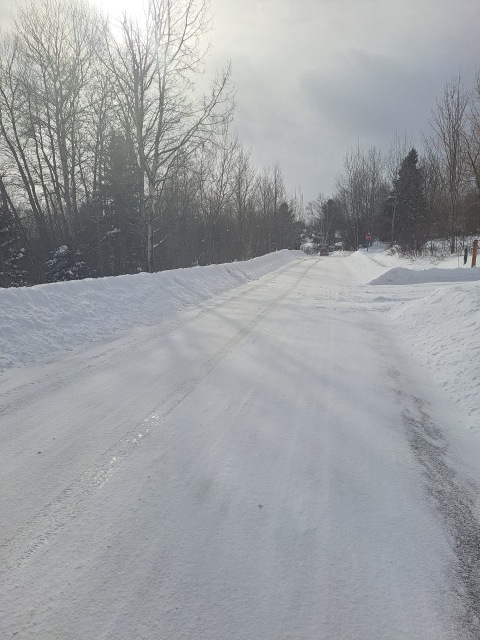 Terrain — Rue de l'Amont, Saint-Ferréol-les-Neiges, G0A3R0, Saint-Ferréol-les-Neiges