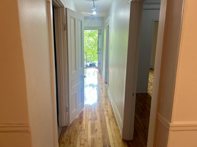 Hall d'entrée — 4611 - 4621, Rue Parthenais, Montréal (Le Plateau-Mont-Royal), H2H2G8, Montréal (Le Plateau-Mont-Royal)
