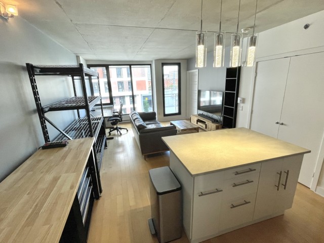 Photo 5 — 535-950 Rue Notre-Dame O, 535, Montréal, H3C 0K3, Montréal
