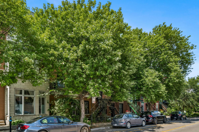 Extérieur — 1821 - 1825, Rue Marie-Anne E., Montréal (Le Plateau-Mont-Royal), H2H1M2, Montréal (Le Plateau-Mont-Royal)