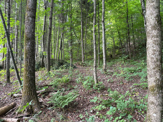 Terrain — Ch. de Ste-Béatrix, Sainte-Béatrix, J0K1Y0, Sainte-Béatrix