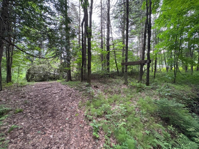 Terrain — Ch. de Ste-Béatrix, Sainte-Béatrix, J0K1Y0, Sainte-Béatrix