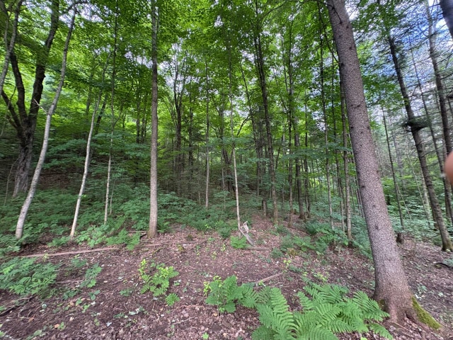 Terrain — Ch. de Ste-Béatrix, Sainte-Béatrix, J0K1Y0, Sainte-Béatrix