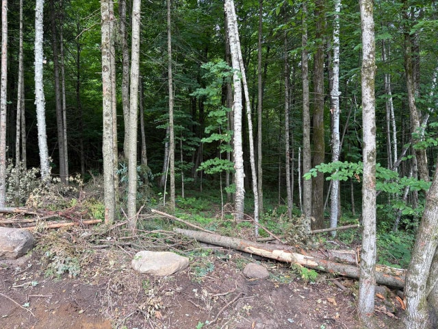 Terrain — Ch. de Ste-Béatrix, Sainte-Béatrix, J0K1Y0, Sainte-Béatrix