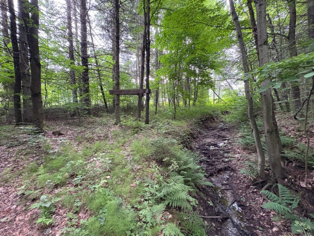 Photo 2 — Ch. de Ste-Béatrix, Sainte-Béatrix, J0K1Y0, Sainte-Béatrix