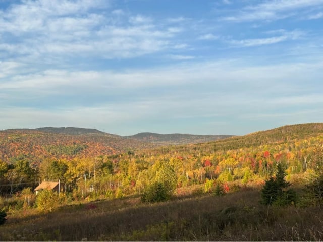 Photo 2 — 10 Chem de la Martine, Petite-Rivière-Saint-François, G0A 2L0, Petite-Rivière-Saint-François