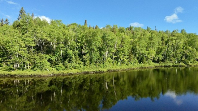 Photo 3 — chemin Jeanne-Ida-Gaudreault, Petit-Saguenay, G0V 1N0, Petit-Saguenay