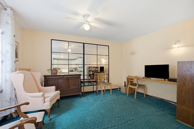 Salon — 3019, Rue Paul-Pau, Montréal (Mercier/Hochelaga-Maisonneuve), H1L4M2, Montréal (Mercier/Hochelaga-Maisonneuve)