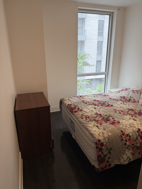 Photo 2 — 370 Rue Saint-André, 309, Montréal, H2L 0C4, Montréal