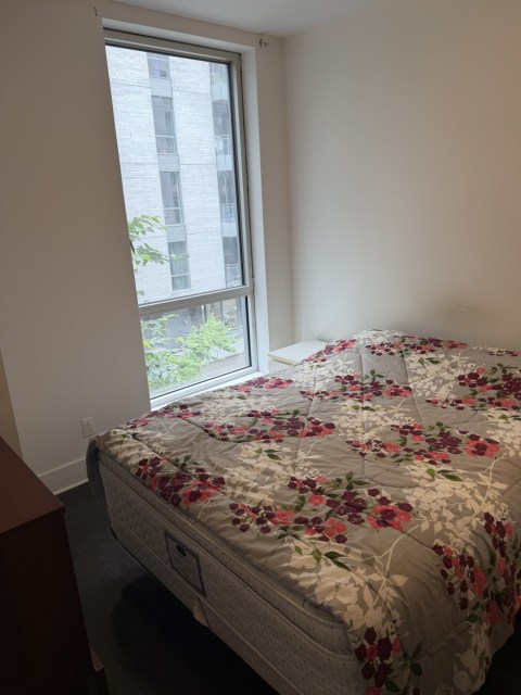 Photo 3 — 370 Rue Saint-André, 309, Montréal, H2L 0C4, Montréal