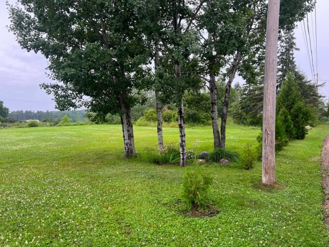 Terrain — Boul. Horace-J.-Beemer, Roberval, G8H2N2, Roberval