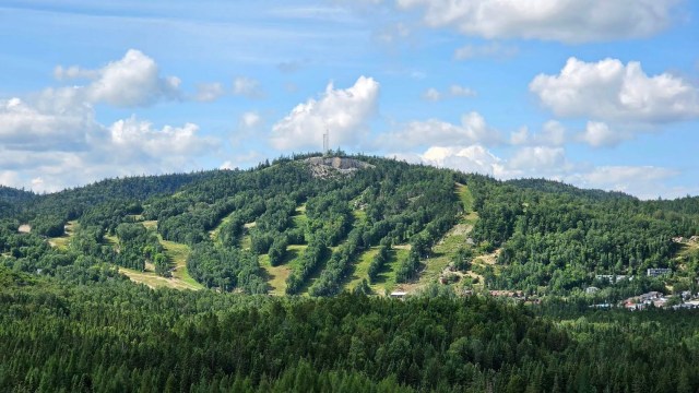 Photo 3 — 301 Ch. du Quartier-du-Cerf, Saint-Côme