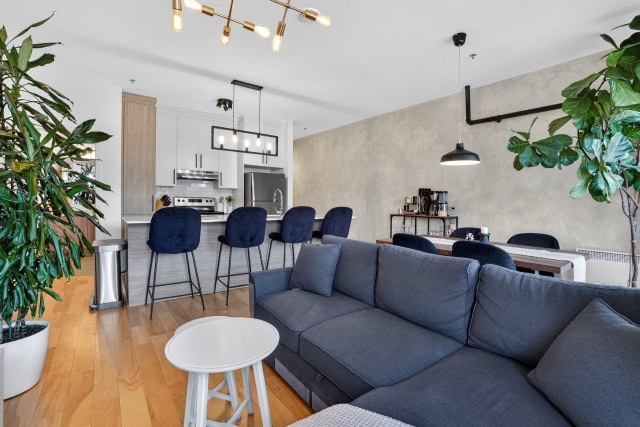 Vue d'ensemble — 3430, Rue Masson, 201, Montréal (Rosemont/La Petite-Patrie), H1X1R7, Montréal (Rosemont/La Petite-Patrie)