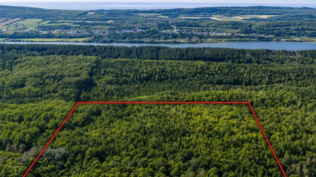 Photo aérienne — Rg Petit-4e, Saint-Mathieu-de-Rioux