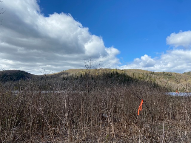 Bord de l'eau — Ch. du Lac-Cadotte, Trois-Rives