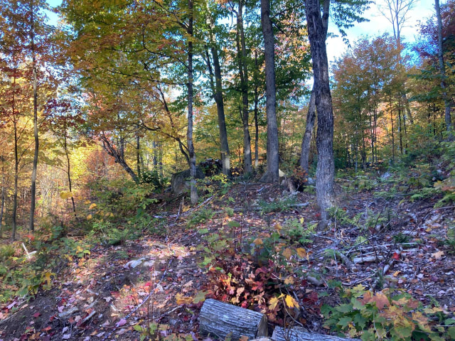Terrain — Ch. de l'Orignal, Sainte-Thècle