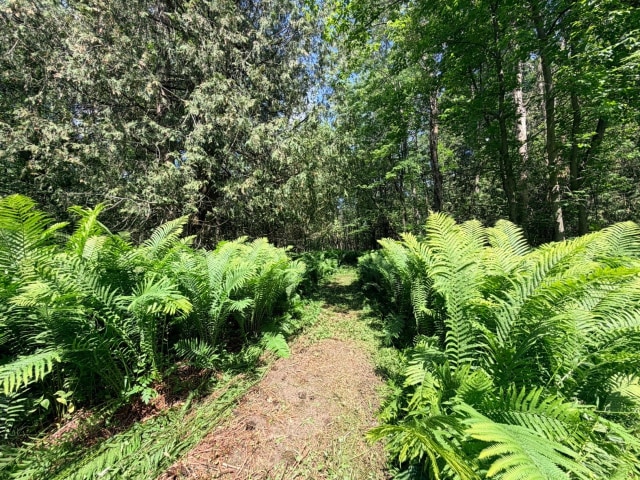 Extérieur — Rue Roux, Danville