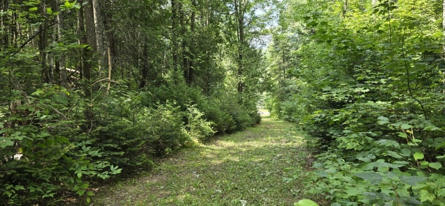 Terrain — Ch. du Vallon, Saint-Jean-de-Matha
