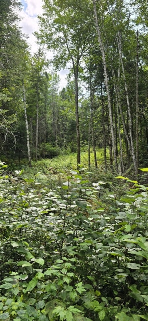 Terrain — Ch. du Vallon, Saint-Jean-de-Matha