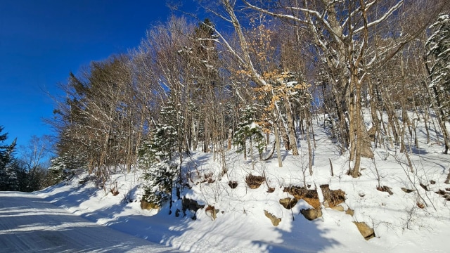 Terrain — Ch. des Bouleaux, Saint-Adolphe-d'Howard