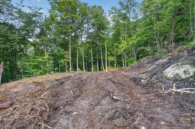 Terrain — Mtée du Lac-Bleu, Saint-Léonard-de-Portneuf
