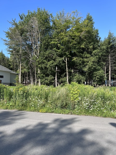 Photo 2 — 922 rejane-laberge, Granby