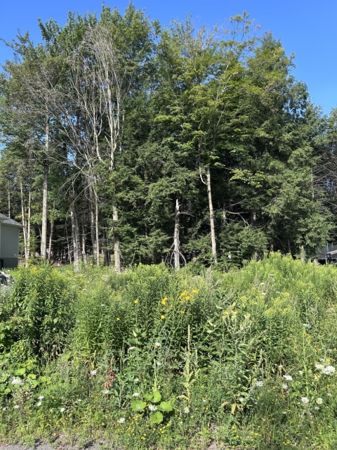 Photo 5 — 922 rejane-laberge, Granby