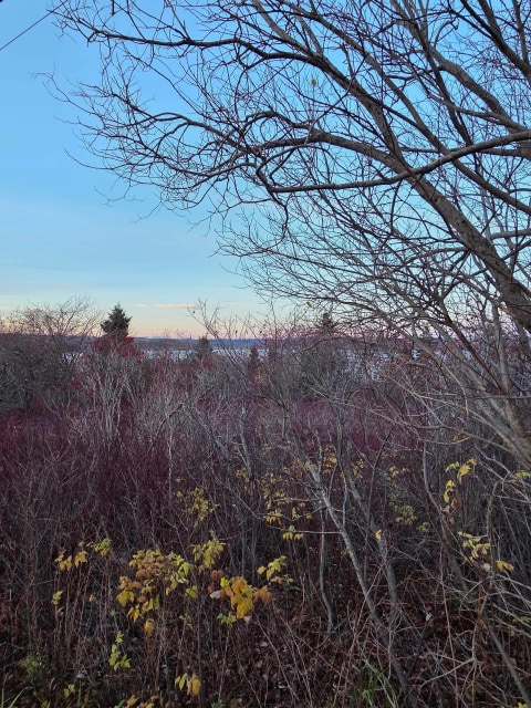 Vue d'ensemble — Route de la Pointe, Port-Daniel/Gascons
