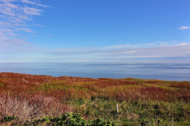 Photo 5 — Route 132, Sainte-Thérèse-de-Gaspé