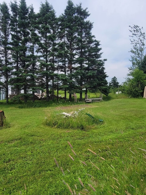 Photo 3 — 532 Grande Allée Ouest, Grande-Rivière