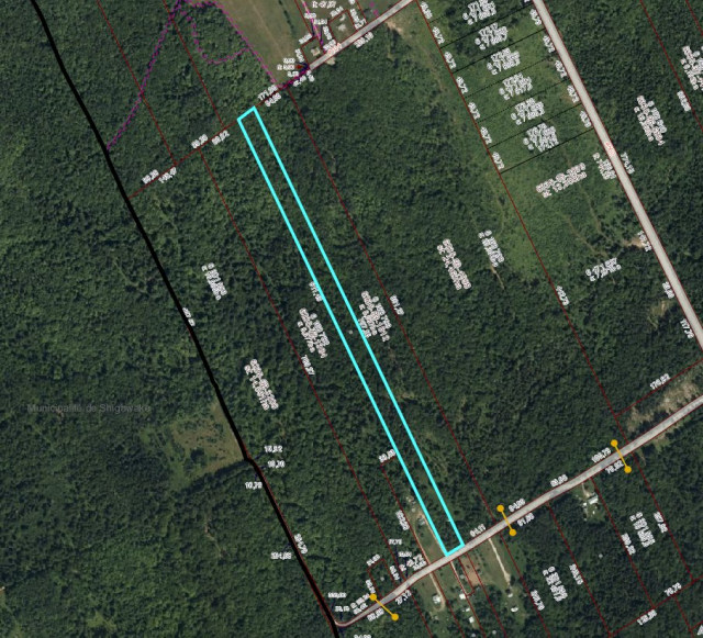 Plan — 108 Route Fitzgerald, Port-Daniel/Gascons
