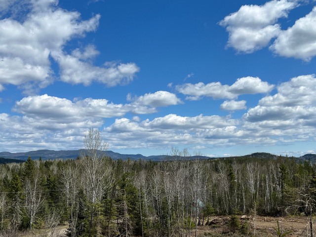 Photo 2 — Ch. du Pied-des-Monts, Saint-Aimé-des-Lacs