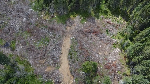 Terrain — Ch. du Pied-des-Monts, Saint-Aimé-des-Lacs